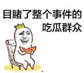 吃瓜群众小杨,揭秘娱乐圈那些事儿  第2张