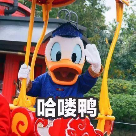 吃瓜鸭新网站,揭秘娱乐圈幕后故事，带你畅游八卦海洋  第3张