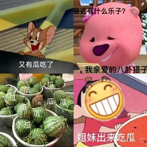 吃瓜pdf在哪找  第3张